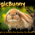 sig_m4gicbunny