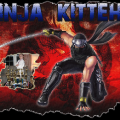 sig_ninja