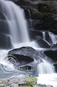 _DSC0028