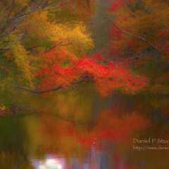 Autumnal Retreat