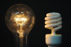 Daylight Fluorescent Bulbs for Digital Photography